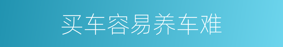 买车容易养车难的同义词