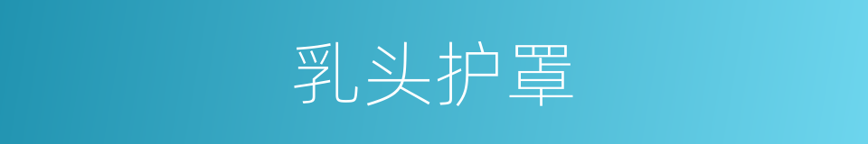 乳头护罩的同义词