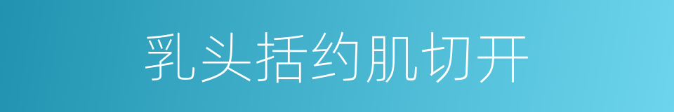 乳头括约肌切开的同义词