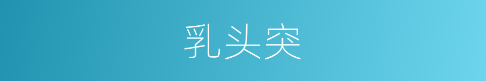 乳头突的同义词