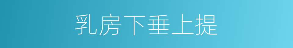 乳房下垂上提的同义词