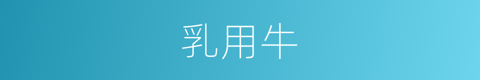 乳用牛的同义词