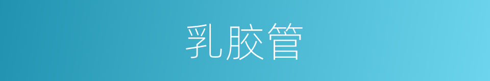 乳胶管的同义词