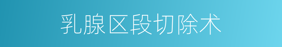 乳腺区段切除术的同义词