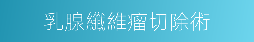 乳腺纖維瘤切除術的同義詞