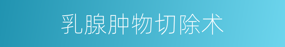 乳腺肿物切除术的同义词