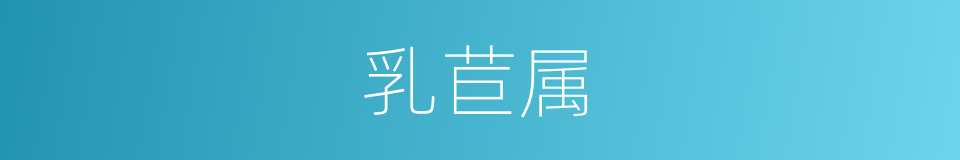 乳苣属的同义词