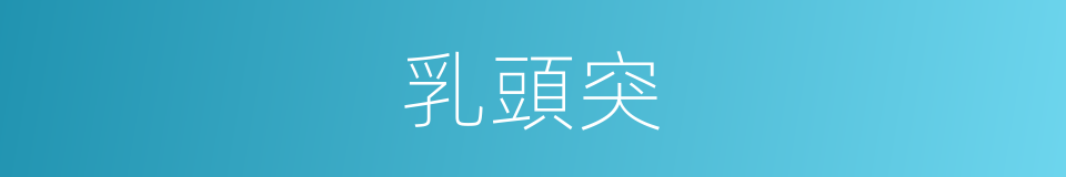 乳頭突的同義詞