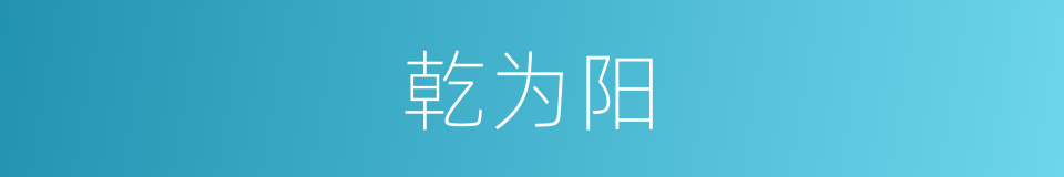 乾为阳的同义词