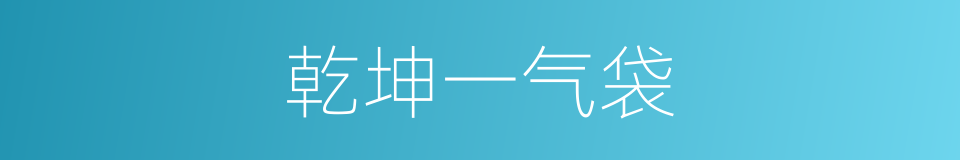 乾坤一气袋的同义词