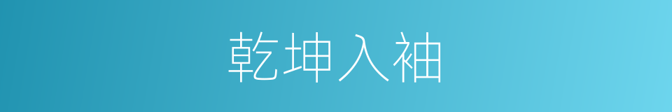 乾坤入袖的同义词