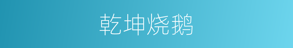 乾坤烧鹅的同义词