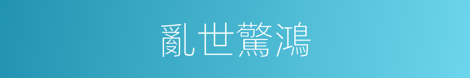 亂世驚鴻的同義詞
