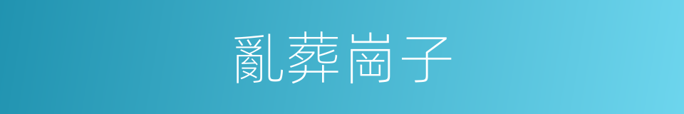 亂葬崗子的意思