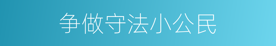 争做守法小公民的同义词