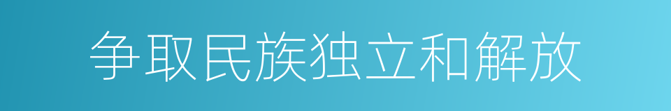 争取民族独立和解放的同义词