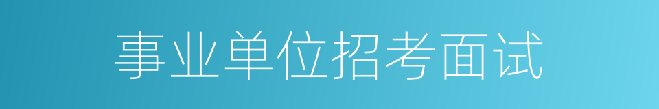 事业单位招考面试的同义词