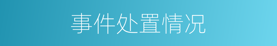 事件处置情况的同义词