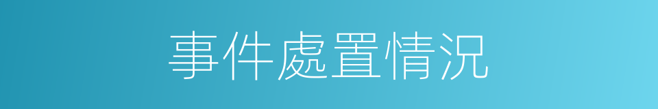 事件處置情況的同義詞