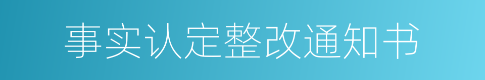 事实认定整改通知书的同义词