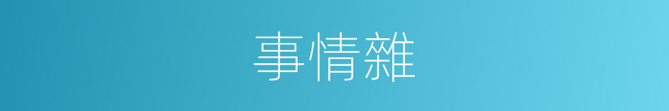 事情雜的同義詞