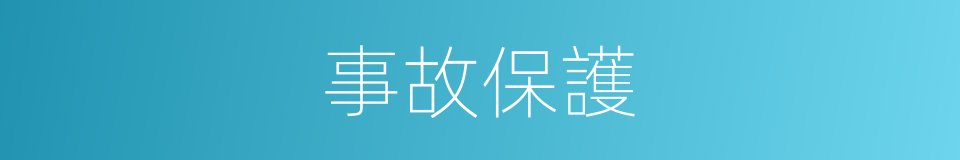 事故保護的同義詞
