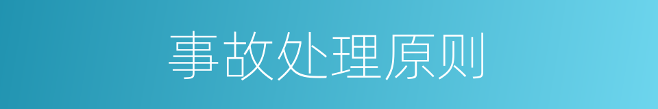 事故处理原则的同义词
