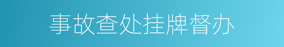 事故查处挂牌督办的同义词