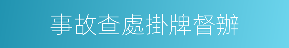 事故查處掛牌督辦的同義詞