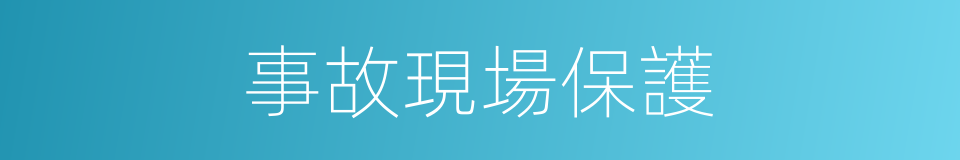事故現場保護的同義詞