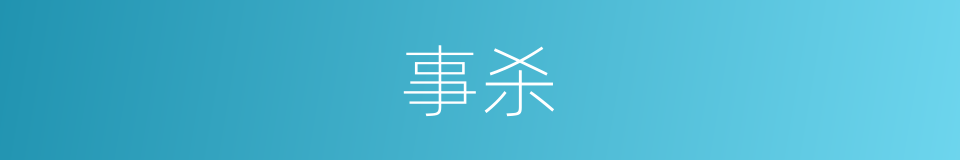 事杀的同义词