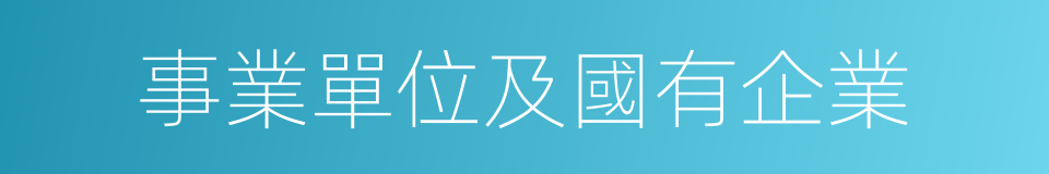 事業單位及國有企業的同義詞