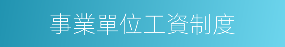 事業單位工資制度的同義詞