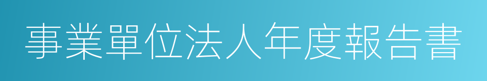 事業單位法人年度報告書的同義詞