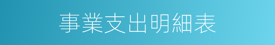 事業支出明細表的同義詞