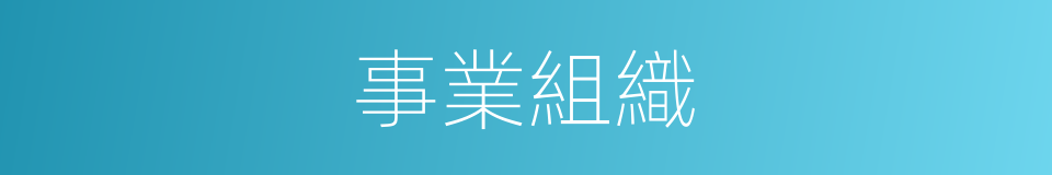 事業組織的同義詞