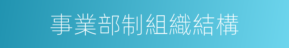 事業部制組織結構的同義詞