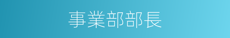 事業部部長的同義詞