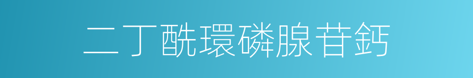 二丁酰環磷腺苷鈣的同義詞