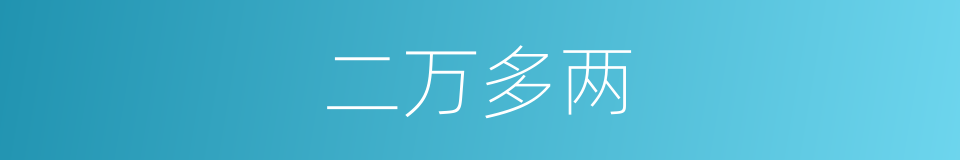 二万多两的同义词