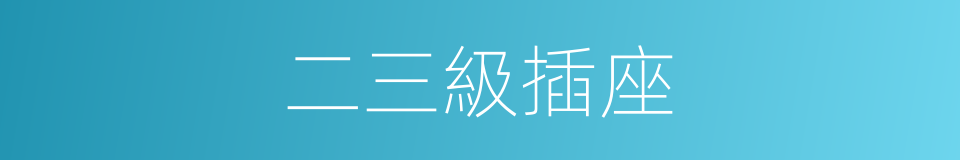 二三級插座的同義詞