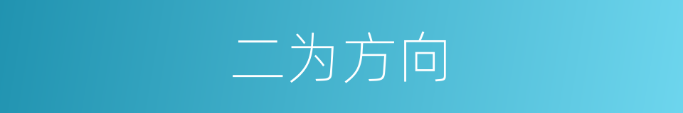 二为方向的同义词