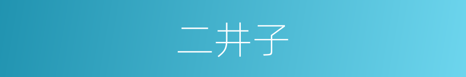 二井子的同义词