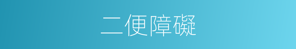 二便障礙的同義詞