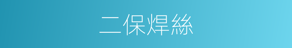 二保焊絲的同義詞