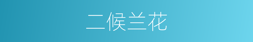 二候兰花的同义词