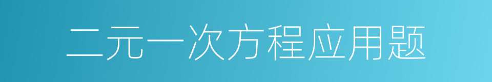 二元一次方程应用题的同义词