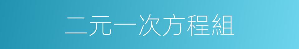 二元一次方程組的同義詞