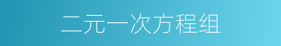 二元一次方程组的同义词