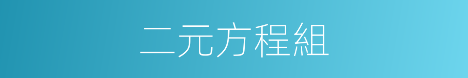 二元方程組的同義詞